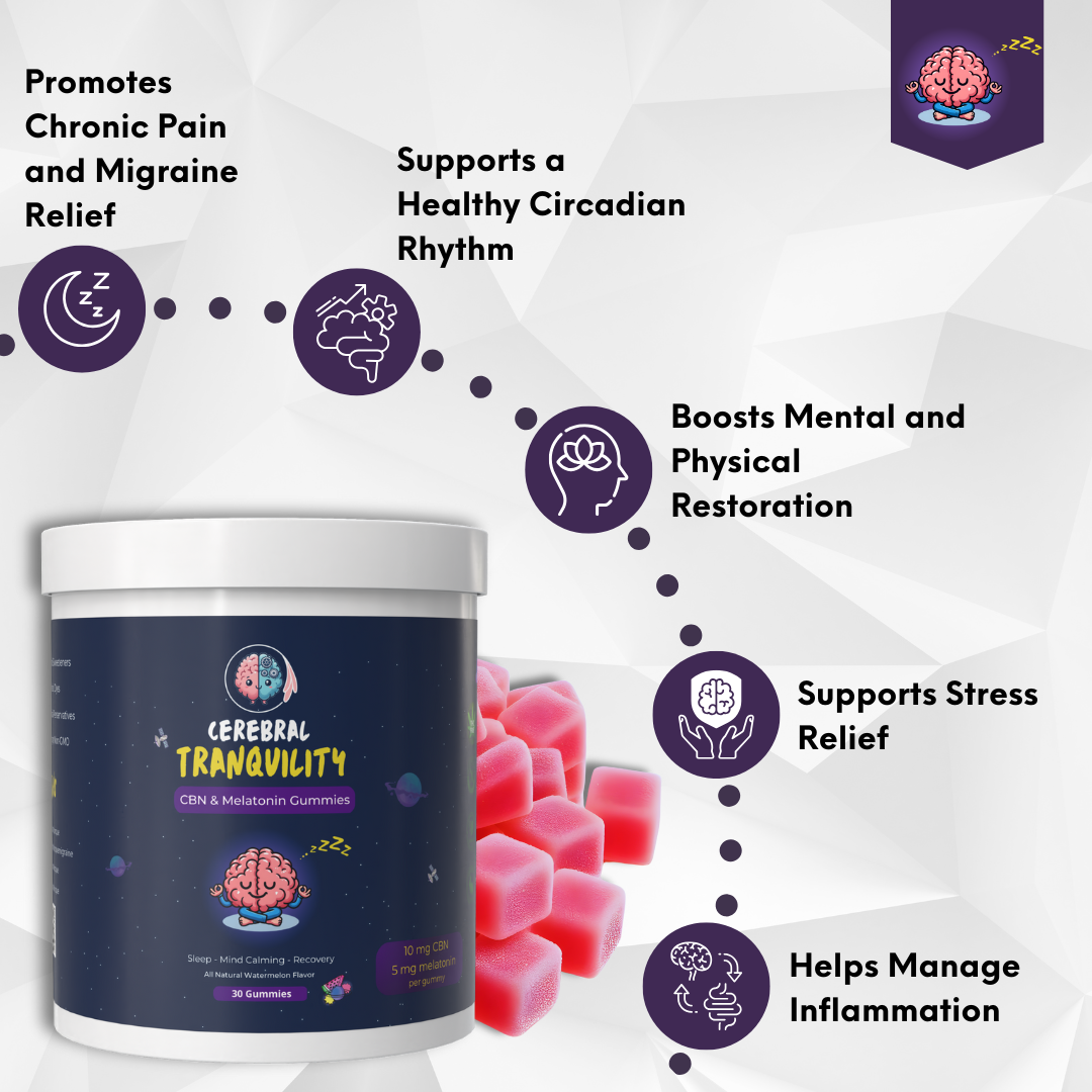Sleep Support Gummies – Nighttime Recovery & Wind-Down Wellness